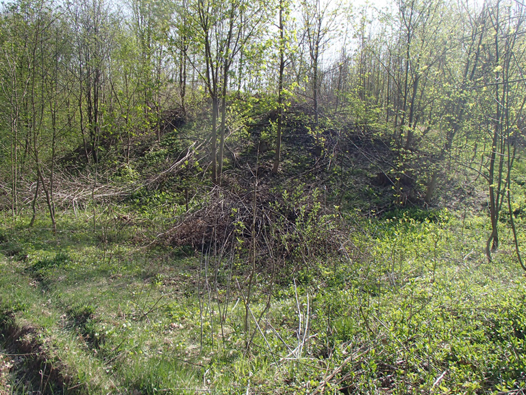 Кургани скіфів Мотронинського городища